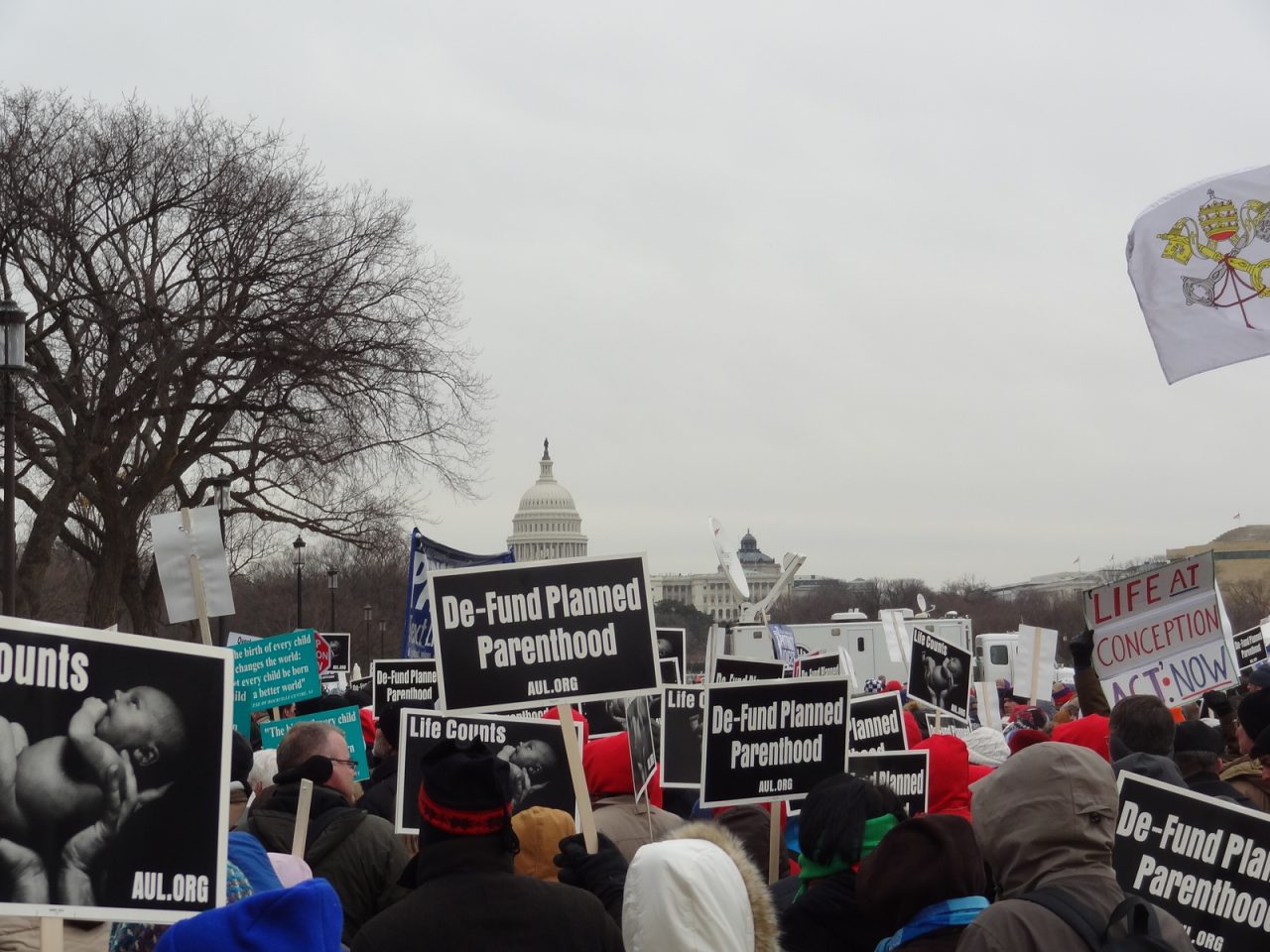 March-for-Life-7